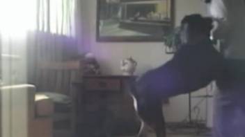 Awesome gay bestiality adult video encounter appears fantastic