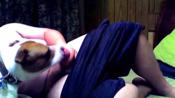 Remarkable complimentary homosexual bestiality adult video encounter