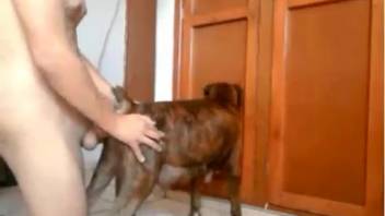 Female having intercourse with canine including genuine climaxes