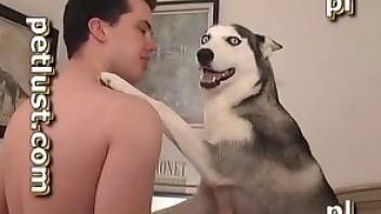 Dog sex tube movie with a hung dude