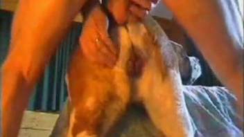 Beastly erotic adventure with a lustful animal to bring you to ecstasy