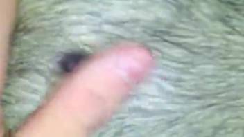 Incredible guy banging canine porn
