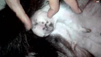 Guy messing around with a soaked vagina