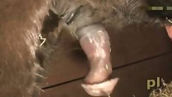 Incredible beastiality video with closeup gape
