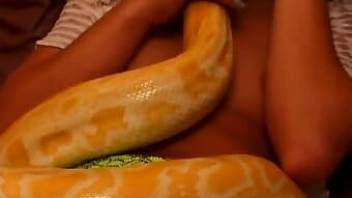 Cute brunette hottie kisses her yellow snake