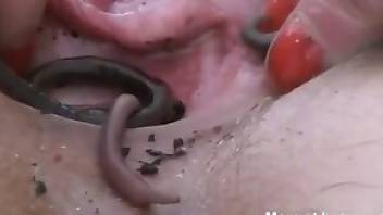 Snail fucking lady featured in hardcore beastiality here